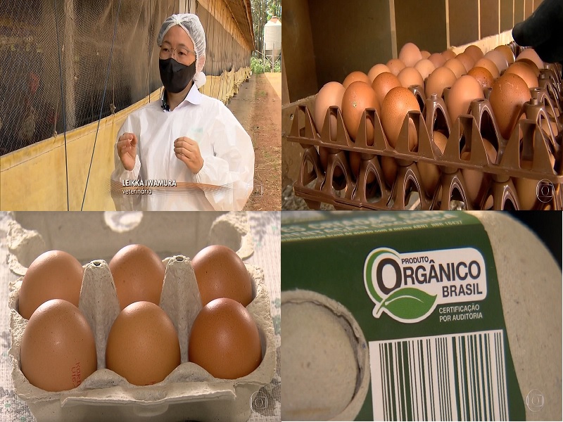 Produção de ovos em sistema orgânico da Korin é destaque no programa Globo Rural