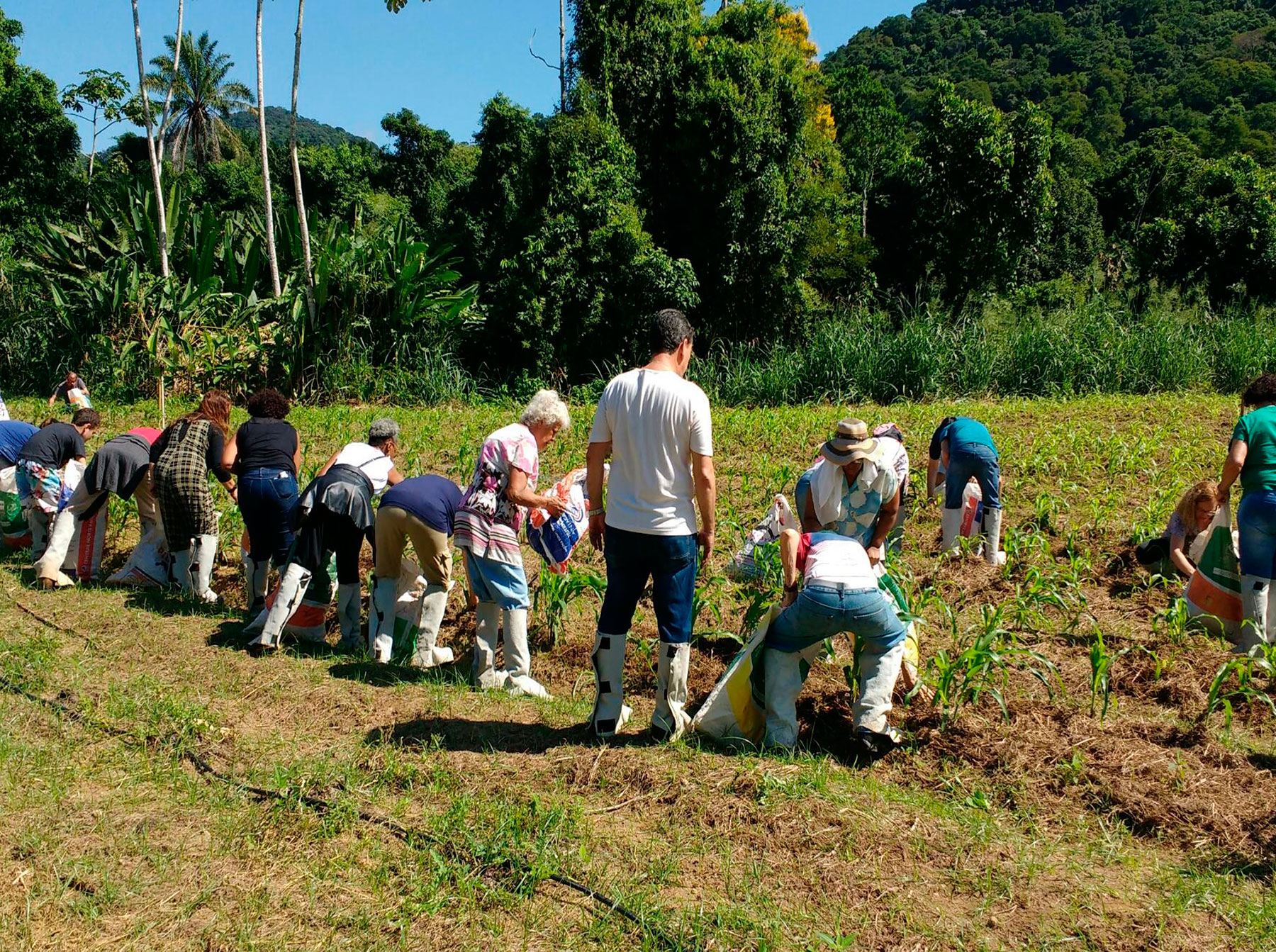 Membros da Igreja Grajaú (RJ) dedicam na Fazenda Messiânica Silva Jardim
