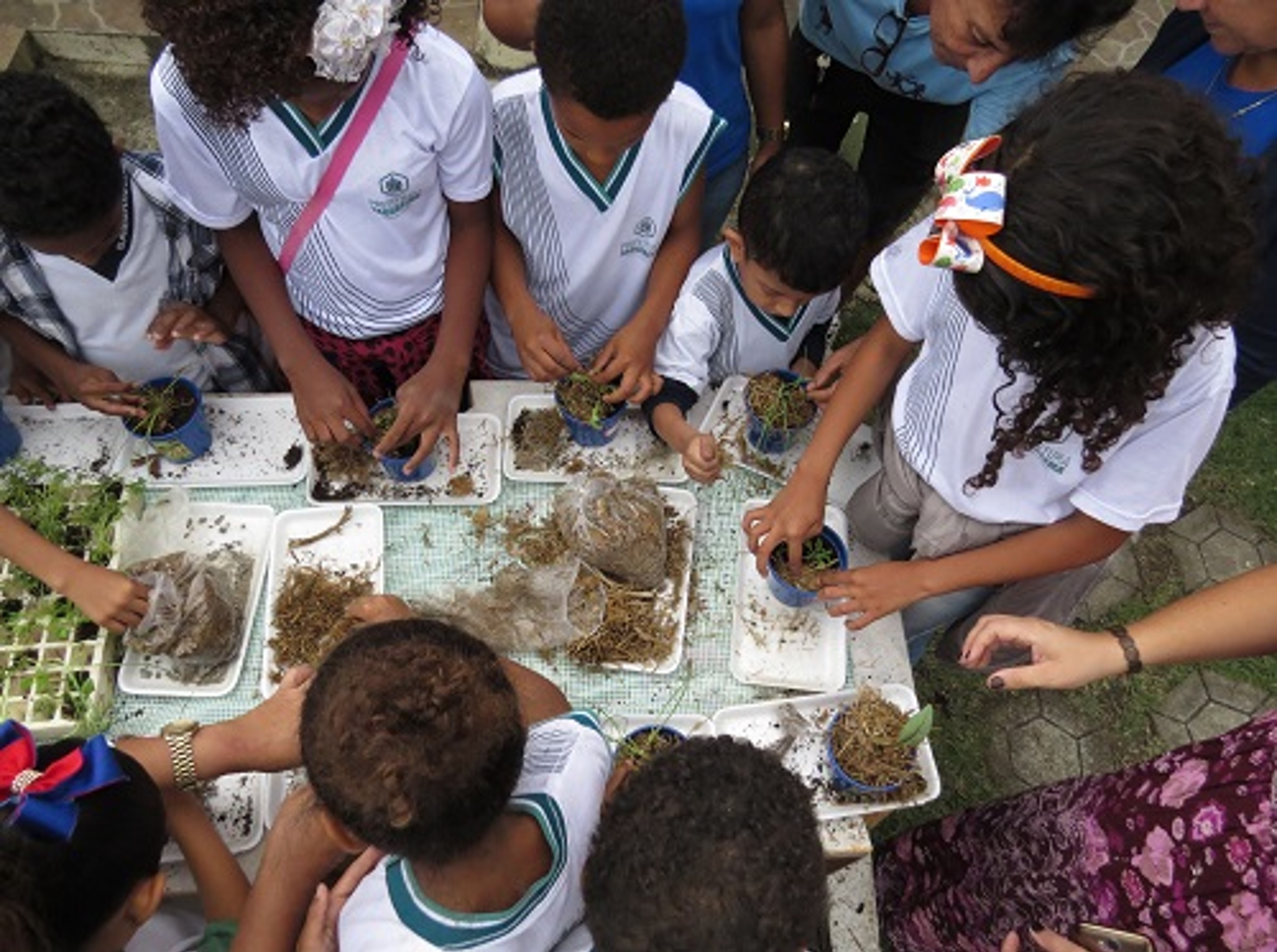 Messiânicos do Rio de Janeiro realizam vivência de horta em escola municipal