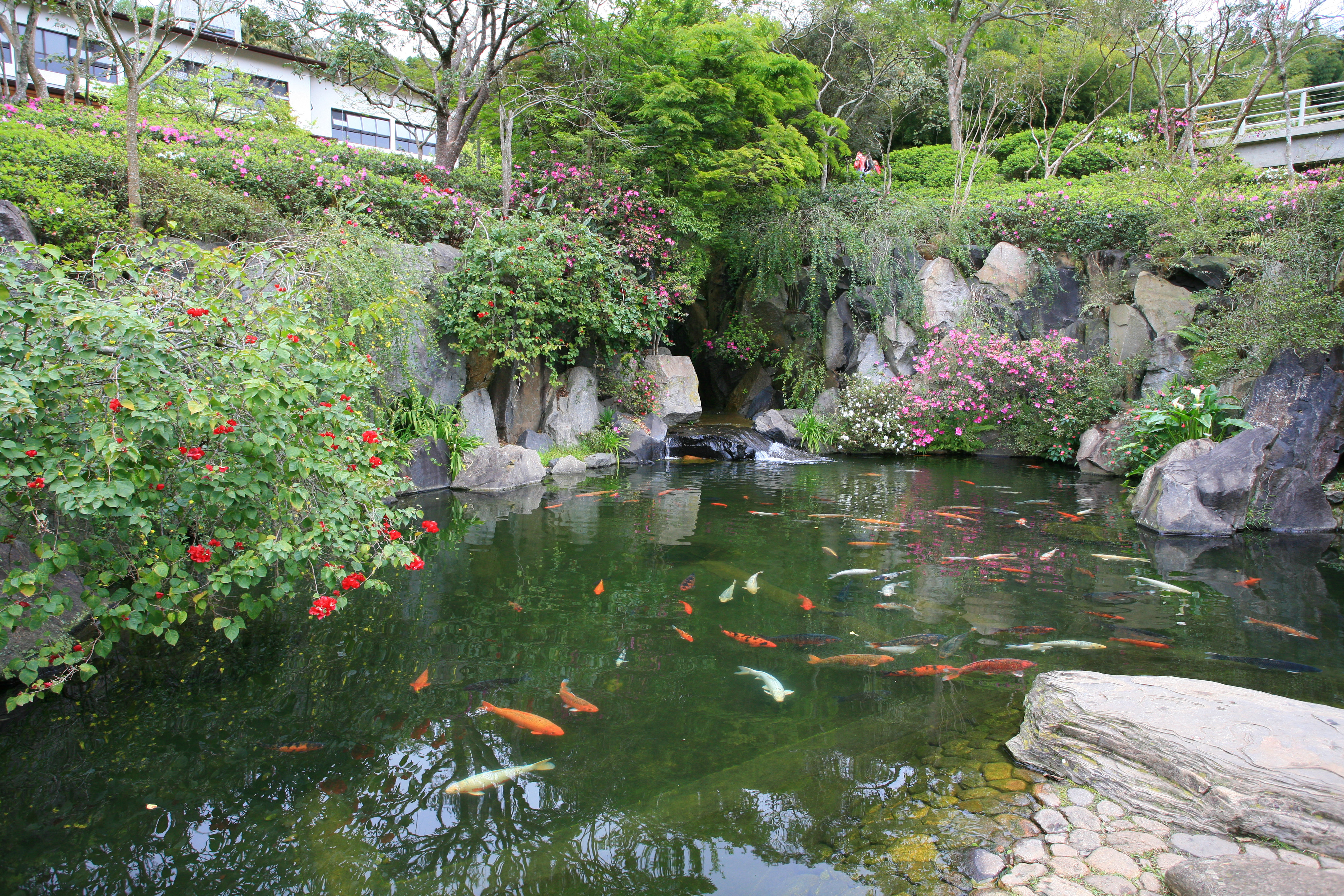 Lago das Carpas