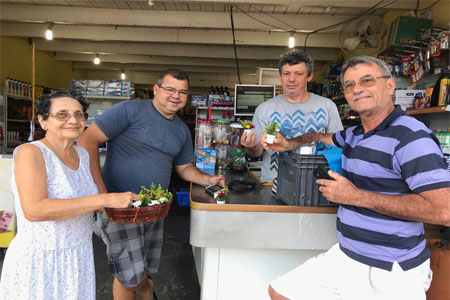 Johrei Center Piratininga, em Niterói, no RJ, distribui 350 miniarranjos florais