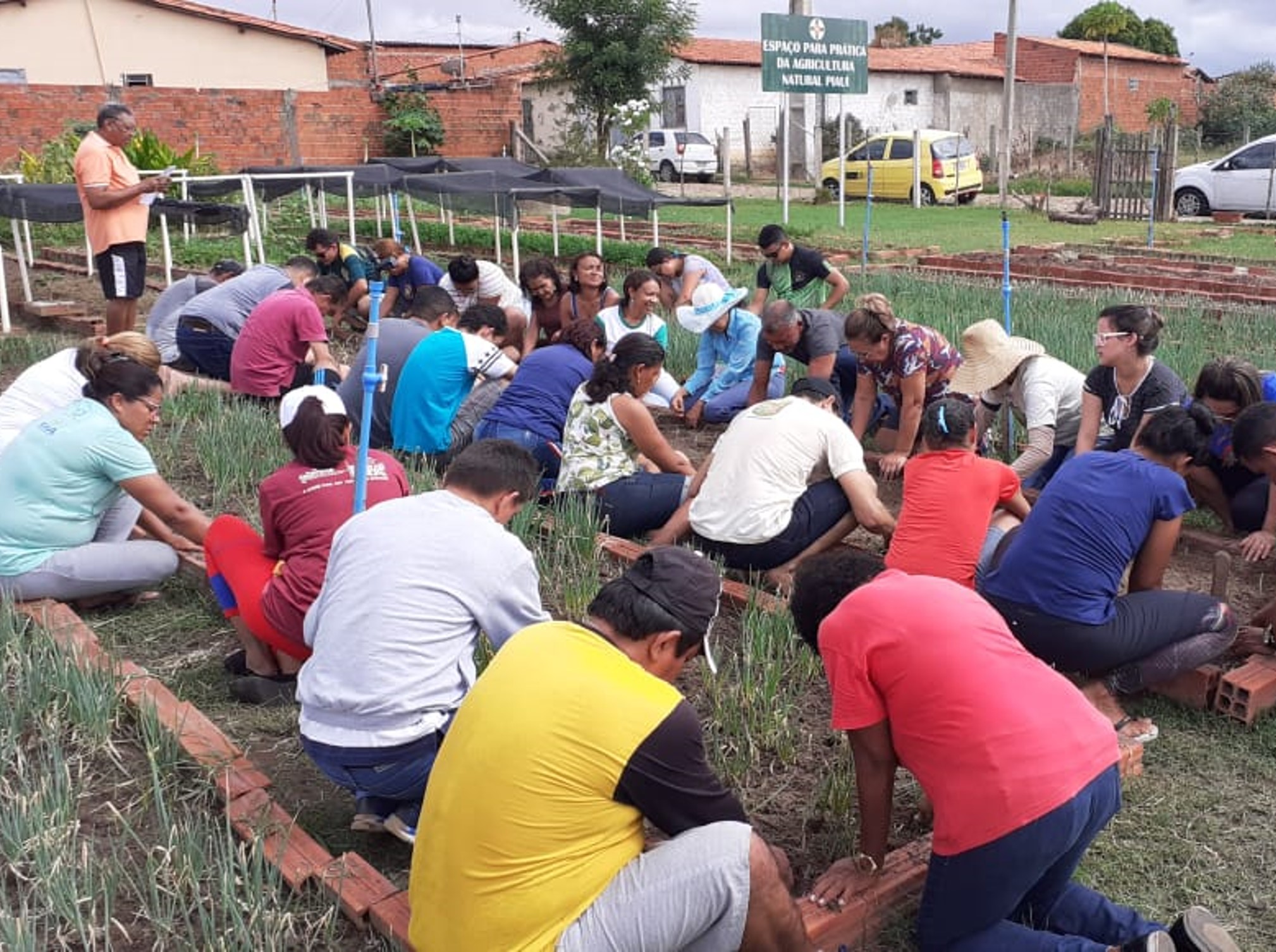 Messiânicos do Piauí se dedicam à Agricultura Natural