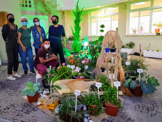 Unidades religiosas da IMMB realizam atividades de horta caseira