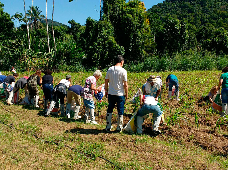 Membros da Igreja Grajaú (RJ) dedicam na Fazenda Messiânica Silva Jardim